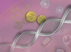 Legionella e Mycoplasma pneumoniae: nuovi test RIDA®GENE per la rilevazione di batteri atipici per CAP