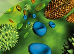 RIDA qLine® Allergy quality assessment: Register now! (en)