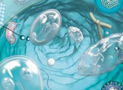 Detection of legionella with RIDASCREEN® Legionella (en)